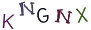 圖片的 CAPTCHA